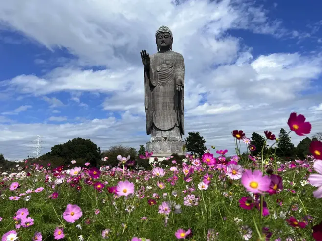 茨城県