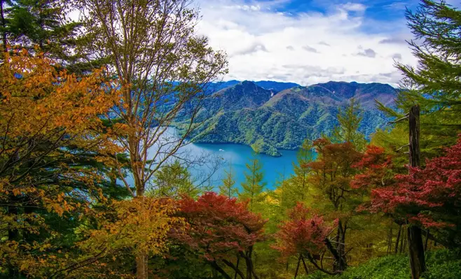 栃木県