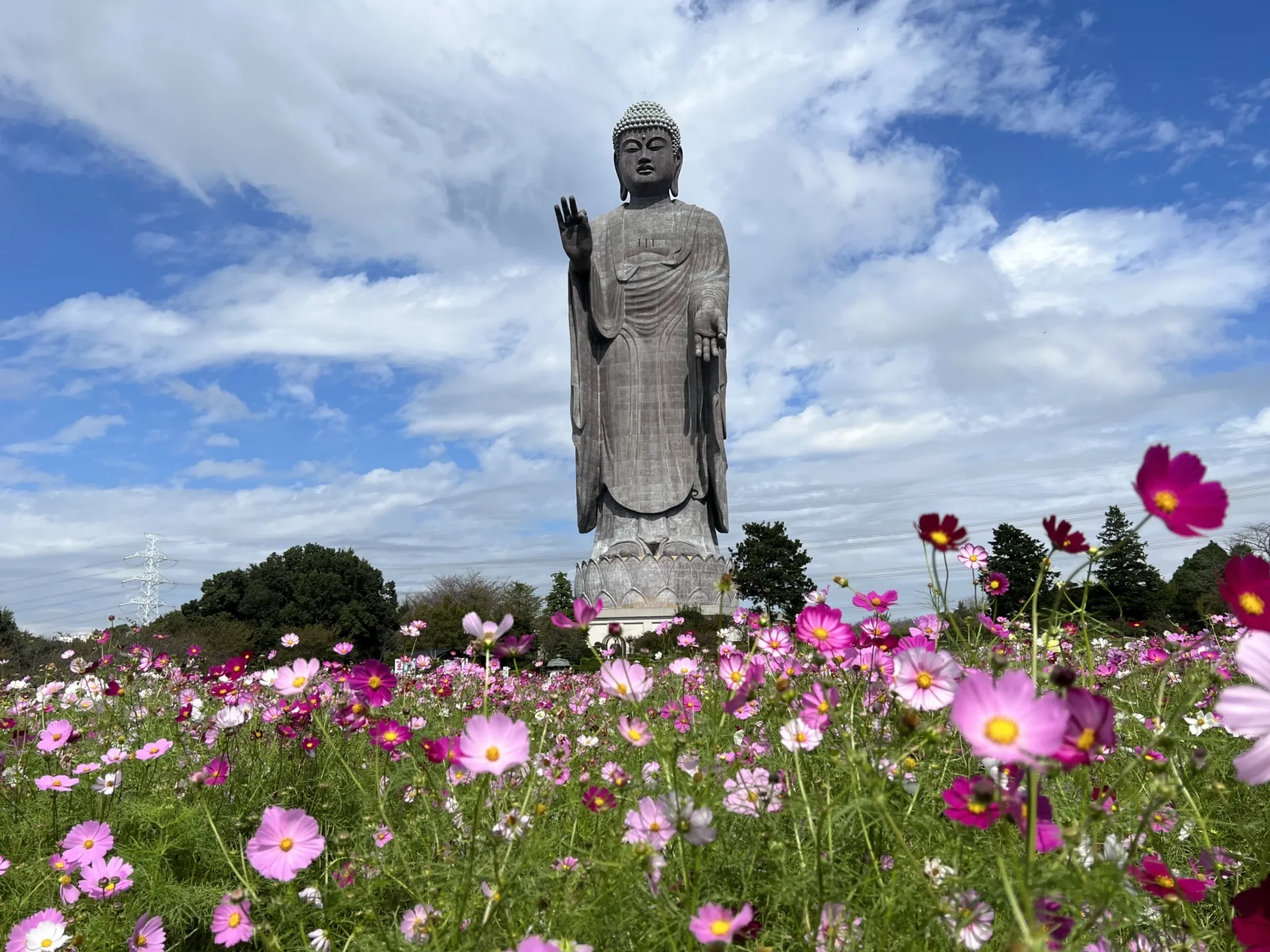 茨城